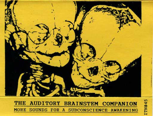 The Auditory Brainstem Companion – More Sounds For a Subconscious Awakening